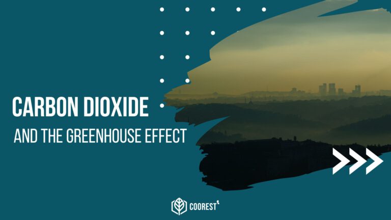 CO2 and the Greenhouse Effect