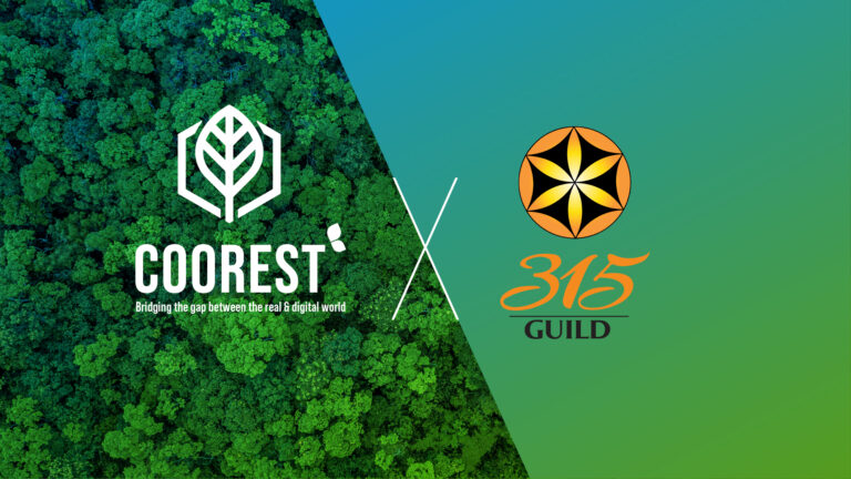 The 315 Forest — a Coorest & 315 Guild collaboration