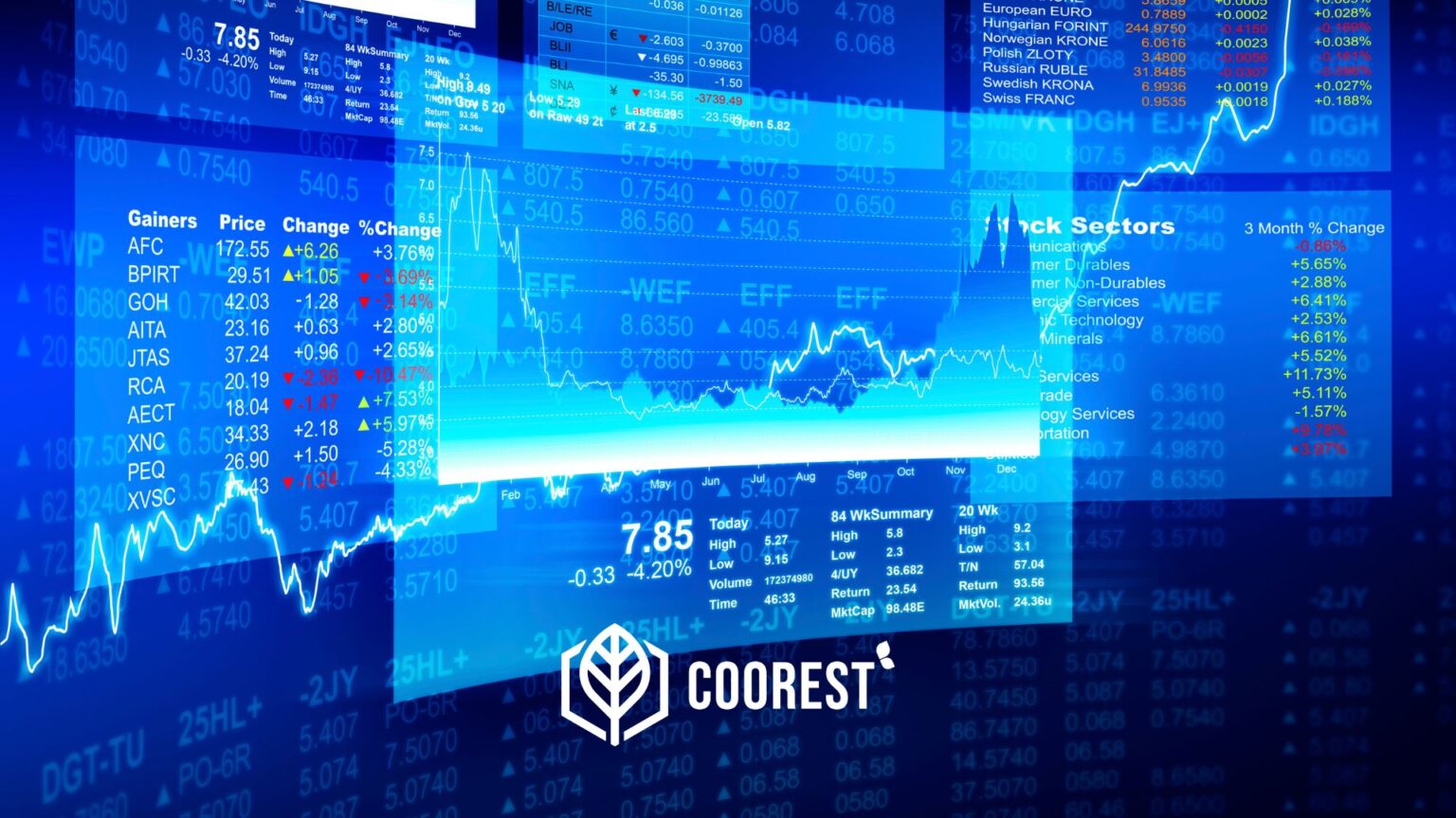 Carbon Markets How Coorest is Levelling the Playing Field Coorest