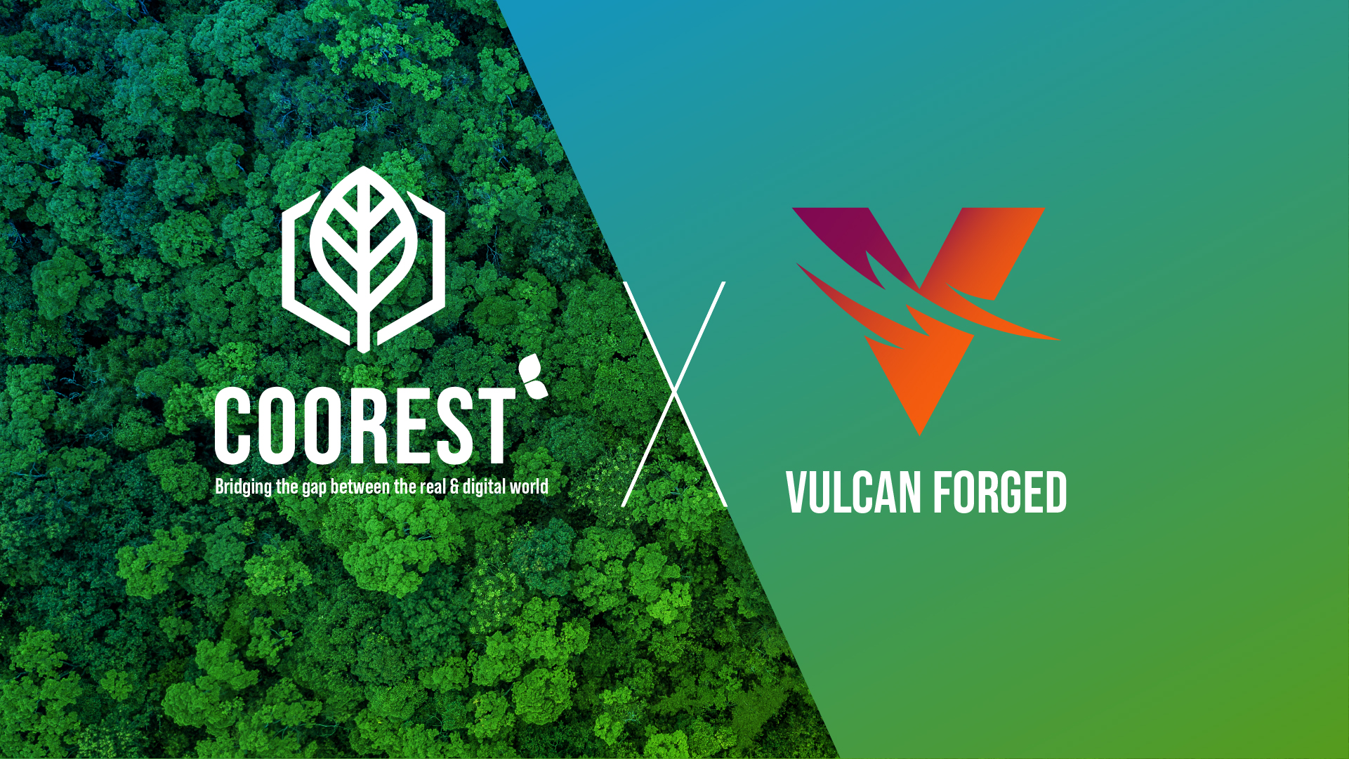 Coorest and VulcanForged collaboration.