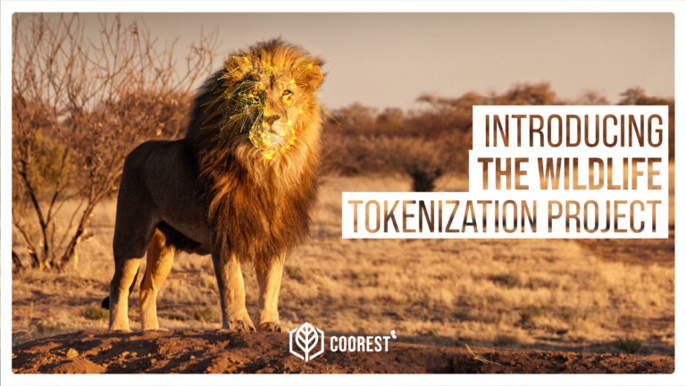 Introducing the Wildlife Tokenisation Project