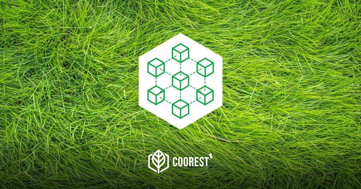 Blockchain Depiction Against Grass