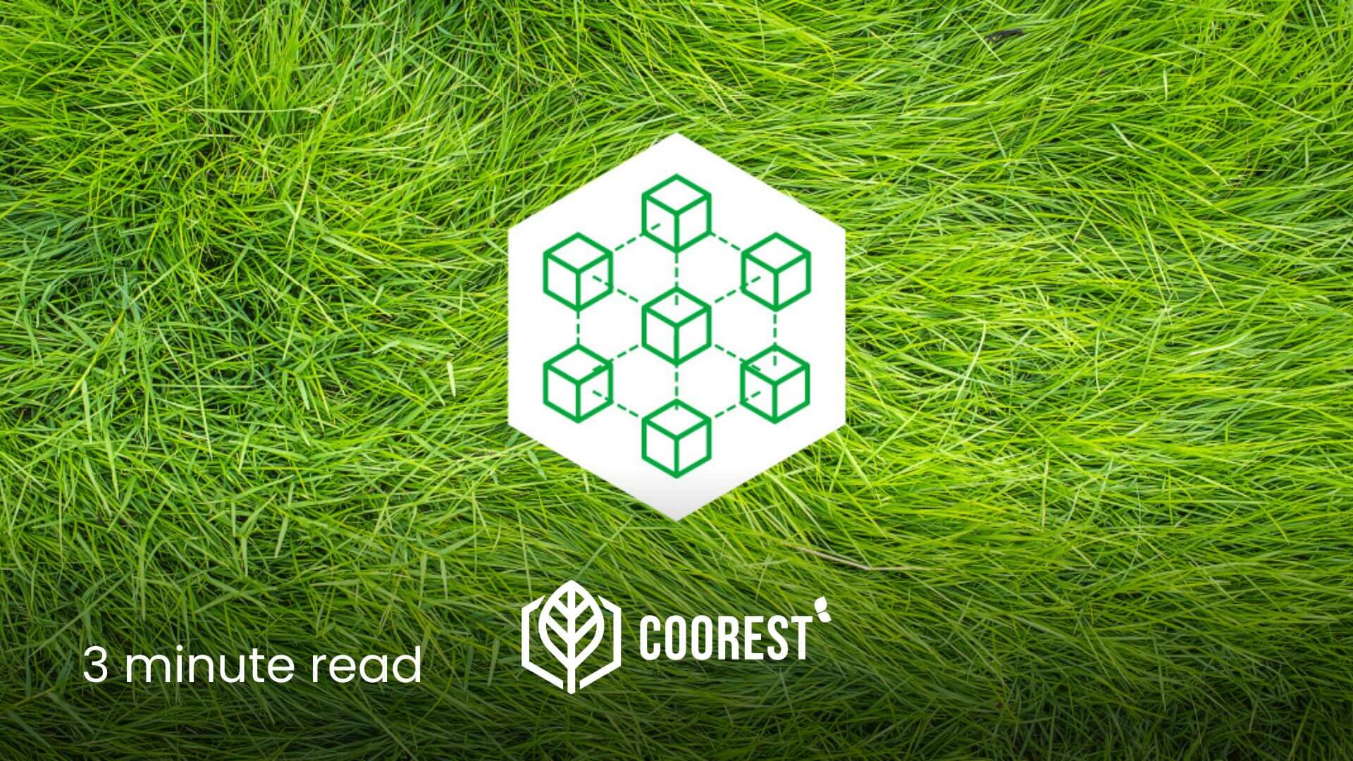 Crypto climate (77) foto