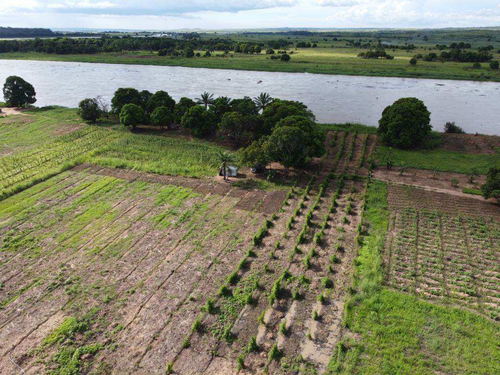 Aerial View of Dimarjan Plantation