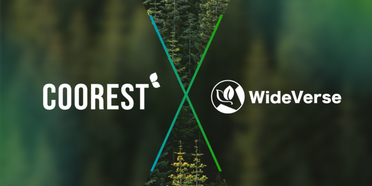 Offsetting Carbon Footprint and Restoring the Italian Landscapes: Wideverse and Coorest's Collaboration