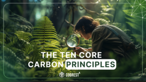 Carbon Credits: The Ten Core Carbon Principles