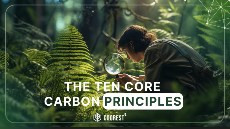 Identifying High-Integrity Carbon Credits: A Crucial Step Towards Climate Action